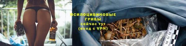 гидропоника Аркадак